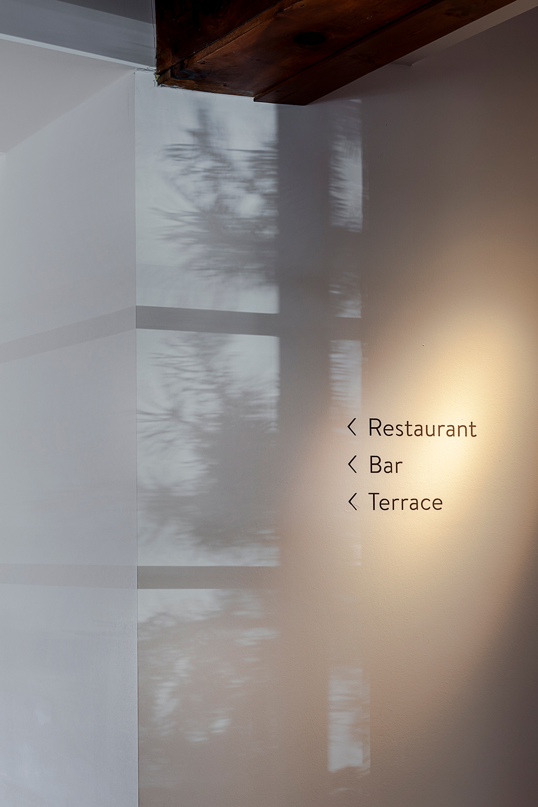 Fotoreportage und Firmenportrait über die Florale Werkstatt. Detailfoto