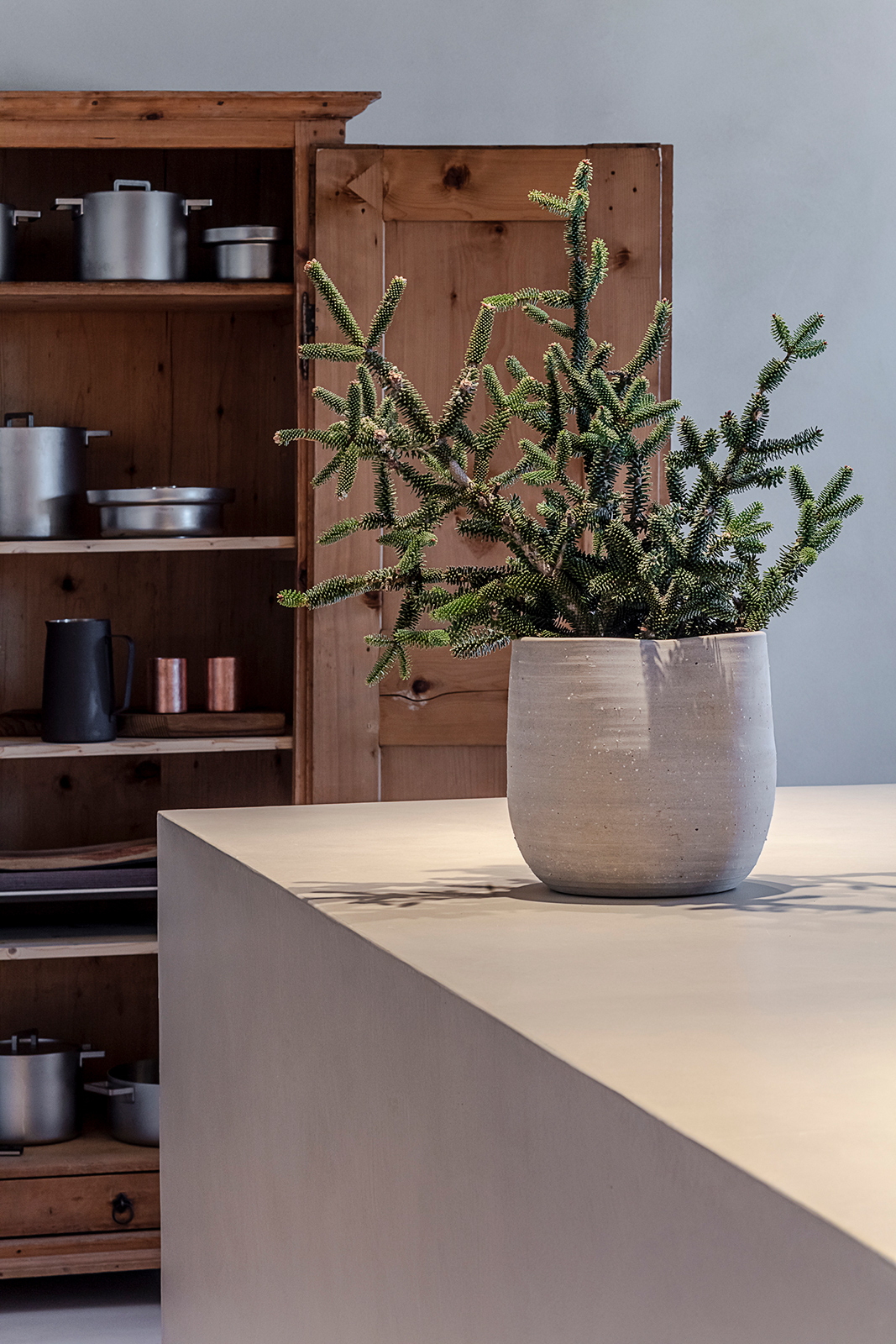 Florale Arbeiten Fotografiert von Gabriel Büchelmeier