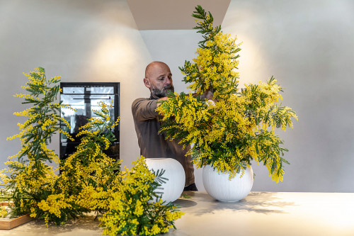 Interior Fotografie und Firmenportrait für die Florale Werkstatt in Südtirol